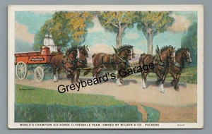 World Champion Team of Clydesdale Horses Wagon Wilson & Co Vintage Postcard - Bild 1 von 2