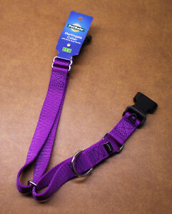 PetSafe Martingale Collar Purple Large Adjustable No Slip 1"  Training