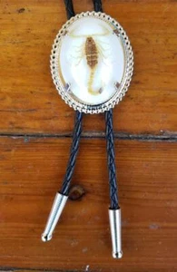 SCORPION WEISS UND SILBER RODEO OVAL RODEO COWBOY BOLOTIE WESTERN BOLO TIE - Bild 1 von 3