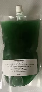 Live Marine Phytoplankton Nannochloropsis Oculata 1000ml. Feed For Copepods Etc. - Picture 1 of 2