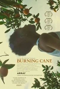 Póster de la película Burning Cane 18"" x 28"" ID-1-59 - Imagen 1 de 1