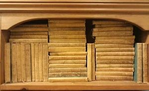 Sir Walter Scott's Waverley Novels - 48 Volume Leather Bound 1896 Temple Edition - Picture 1 of 17