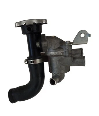 Bomba de agua Honda VT 750 Shadow Spirit (RC53) 2017 genuina OEM Foto 1 de 4