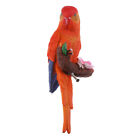 Parrot Budgerigar Bird Ornament Outdoor Patio Resin Animal