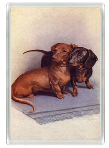 DACHSHUND BEAUTIFUL DOG ART PRINT NOVELTY FRIDGE MAGNET   GREAT GIFT - Picture 1 of 1