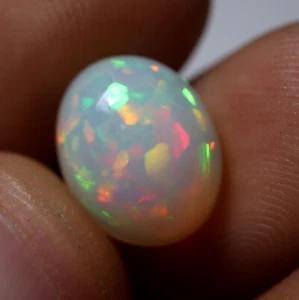 5.6 Crt 14x11.5 MM Natural AAA Rainbow Flashy Fire Ethiopian Welo Opal Cabochon - Picture 1 of 11