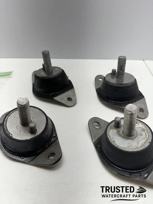 Soportes de motor Polaris 3021254 Freedom Virage SLH SLX TX TXI 2001-2004 Foto 1 de 4