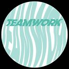 Sinm And S Ii P   Teamwork   12 Inch Vinyl   Tess011   New