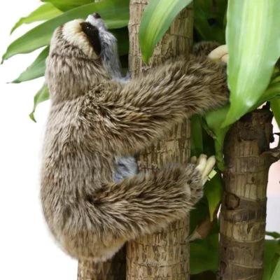 Faultier liegend mit Klettverschluss 35 cm Länge Wildtier Plüschtier Kuscheltier - Bild 1 von 4