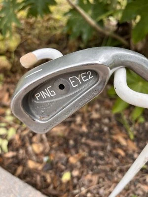 PING EYE 2 + PLUS 1 Hierro Punto Negro ZZ Lite Eje de Acero Foto 1 de 3