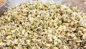 Mung Beans 5 oz - Picture 1 of 5