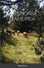 Le Bisnonne D'america By Vittorio Fasce (Italian) Paperback Book