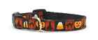 Small Breed Dog Collar, Leads & Harness Halloween By Up Country Made in USA