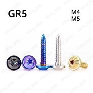 GR5 Titanio PVD Color Torx Soket Cabezal Platillo Volador Tornillos Autoroscantes M4 M5 - Imagen 1 de 9