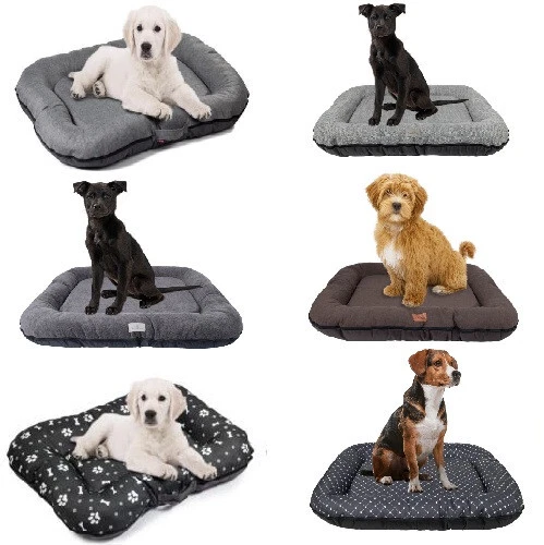 Majestic Pet Products Hundebett Klein Rechteckig – Wasserdichter Bezug, UV-Schutz, Für Drinnen & Draußen