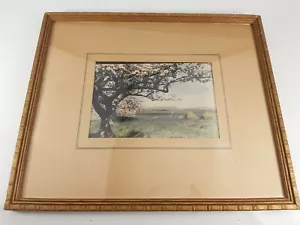 Vintage Wallace R. Macaskill Tinted Photograph Signed & Titled - Picture 1 of 8
