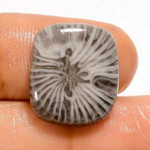 Line Texture Natural Stingray Coral Loose Gemstone Cabochon 12.5 Ct 17X15X4 mm - Picture 1 of 1