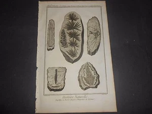 1751/72 GRAVUR HISTORIE NATURELLE DRUCKSTEIN VEGETATION FOSSIL DIDEROT 10 - Bild 1 von 4
