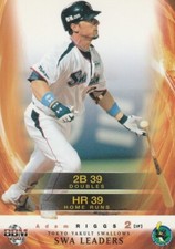 Adam Riggs, LAD-SD-ANA-Tokyo Yakult Swallows, BBM Card #TY106 (2007)