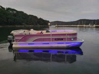 21 Ft, Luxury Pontoon for 12 people - image 1 of 4