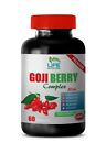 Wholeberry Organic Supplement - GOJI BERRY 300mg - 1 Bottle 60 Capsules