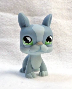 LITTLEST PETSHOP LPS #857 HASBRO CHIEN BOSTON TERRIER BLEU GRIS YEUX VERT LUNE - Imagen 1 de 5