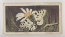 1963 Brooke Bond Wildlife in Danger Tea Alpine Apollo Butterfly #50 0e3