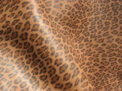 lambskin leather hide Leopard Print w/White Faux sheepskin shearling back - Image 1 of 4