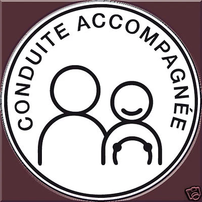 Disque électrostatique CONDUITE ACCOMPAGNEE Voiture Auto Obligatoire NEUF - Image 1 of 4