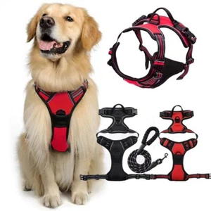 Hundegeschirr Brustgeschirr Hunde verstellbar S M L XL gepolstert Nylon reflekt - Bild 1 von 9