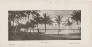 Palm Beach, tramonto sul lago vale 6x12 foto stampata vintage 1905 - Foto 1 di 1