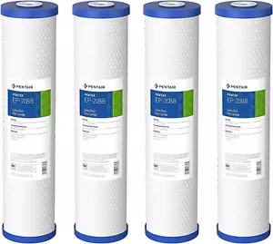 4 Pack Pentair EP-20BB Big Blue Carbon Water Filter 20" Whole House Carbon Block - Picture 1 of 13