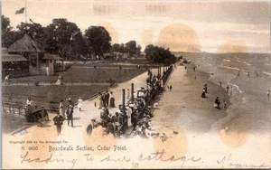 Postal de colección de la sección del paseo marítimo de Cedar Point de 1905 de Rotograph Co. - Imagen 1 de 2