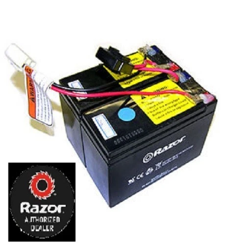 Genuine Razor Battery 24V Indian eFTR Mini, MX350 V33+, MX400, Pocket Mod - Image 1 of 1