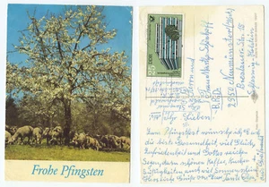 20889 - Frohe Pfingsten - Ansichtskarte, gelaufen Greifswald - Bild 1 von 1