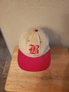 Vintage Tampa Bay Buccaneers Old Logo Snapback Hat - - Picture 1 of 1