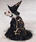 Neuf avec étiquettes costume décontracté de sorcière canine noire avec chapeau taille XS chat Halloween