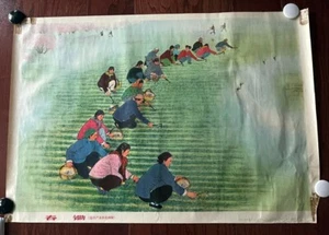 Cartel original de propaganda china huxiana de agricultura campesina 1974 - Imagen 1 de 1