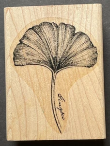 Gingkgo Biloba Chinese Native Tree Leaf Plant Gingko Writing Wood Rubber Stamp - Foto 1 di 2
