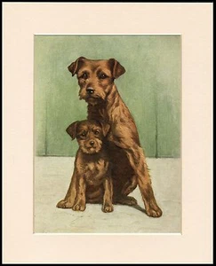 BORDER TERRIER MUTTER UND WELPE CHARMANTER HUNDEDRUCK MONTIERT RAHMENFERTIG - Bild 1 von 1