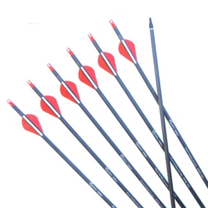 Flechas de carbono de tiro con arco SP300 400 cabezas anchas atornillables arco compuesto recurvo caza - Imagen 1 de 9