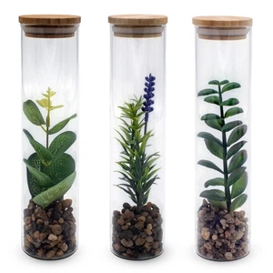 Kunst Pflanze Glas Vase - 3er Set - Sukkulente Blume künstlich Zimmer Tisch Deko - Bild 1 von 7