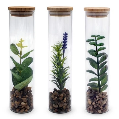 Kunst Pflanze Glas Vase - 3er Set - Sukkulente Blume künstlich Zimmer Tisch Deko - Bild 1 von 4