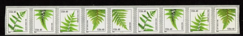 Scott 4848-4852 49¢ Ferns Coil P#C1111 MNH Free shipping in the US - Image 1 of 1