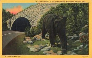 Schwarzbär Stein Unterführung Harry N Martin Rauchberge Vintage Leinen Postkarte - Bild 1 von 2