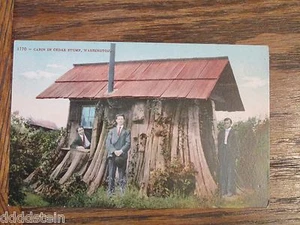 Postal De Colección CABAÑA EN TOCÓN DE CEDRO - WASHINGTON - Mitchell - 1 centavo - Imagen 1 de 5