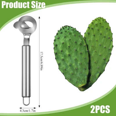 NUEVO 2 PIEZAS Cushara Peladora De Nopales/Cuchara Peladora De Cactus/Cuchara Pela Nopales Foto 1 de 4