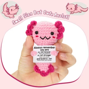 Mini Positive Crochet Doll Animal Axolotl Emotional Support Teen Birthday Gifts - Picture 1 of 7