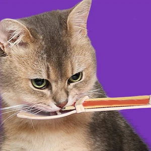 Cat Strip Spoon Feeder Cat Kitten Wet Food Spoon Strip Squeeze Feeder apposite - Picture 1 of 5