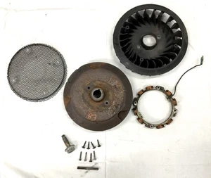 Juego de volante de inercia Cub Cadet RZT 17 42" Briggs & Stratton 31G777 BS-693556 ventilador de estator - Imagen 1 de 13